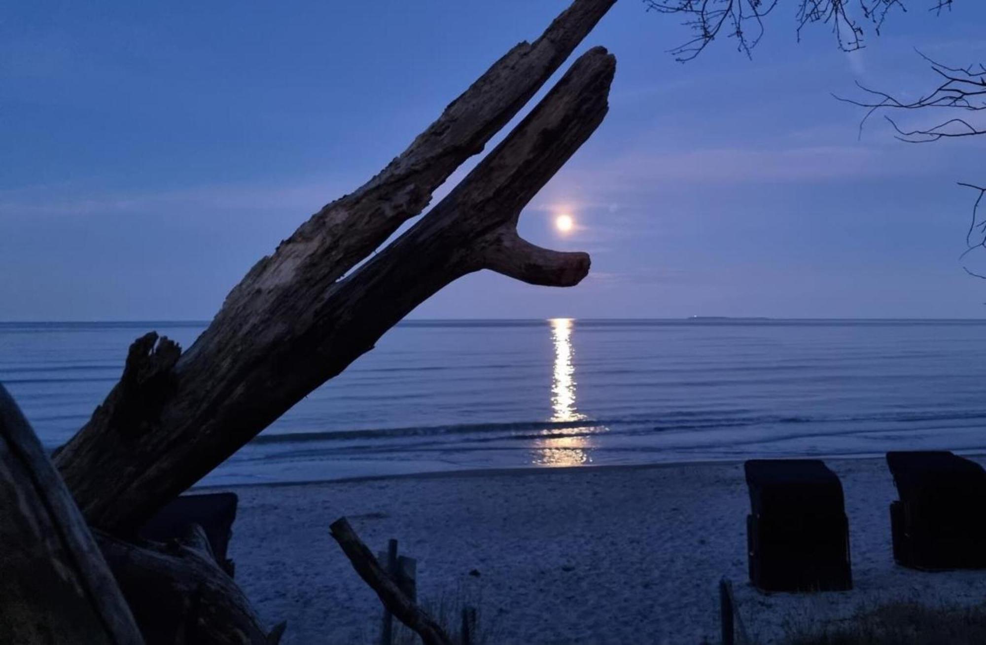 Traumhaftes Appartement - Odins Blick Wohnung 13 , Sauna Und Privatstrand, Blick Zur Ostsee Lobbe Εξωτερικό φωτογραφία
